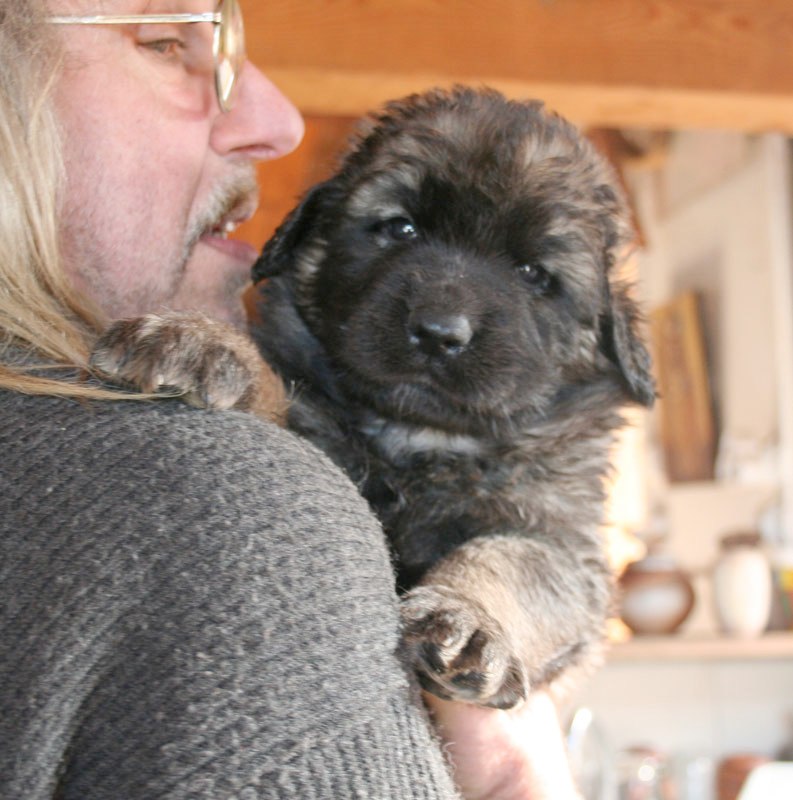 Index of /leo/Photos/Pages/Chiots_1_mois_files/Media/noire2 Index of /leo/Photos/Pages/Chiots_1_mois_files/Media/noire2